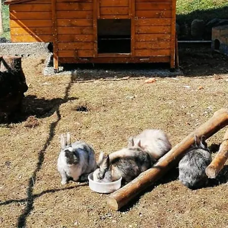 Mobil-home Avec Animaux Acceptes - 6 Pers. - Api-1-52-2970 * Estaing (Hautes-Pyrenees)
