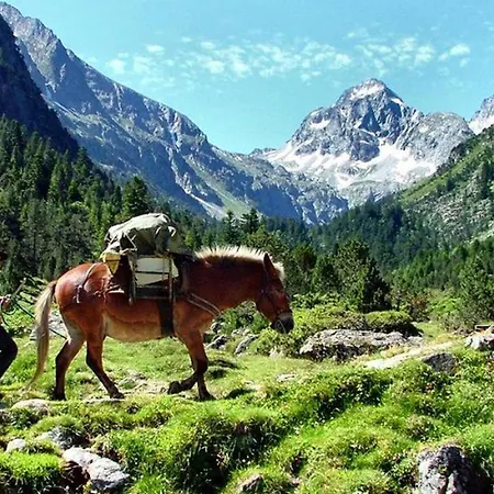 Mobil-home Avec Animaux Acceptes - 6 Pers. - Api-1-52-2970 مكان تخييم Estaing (Hautes-Pyrenees)
