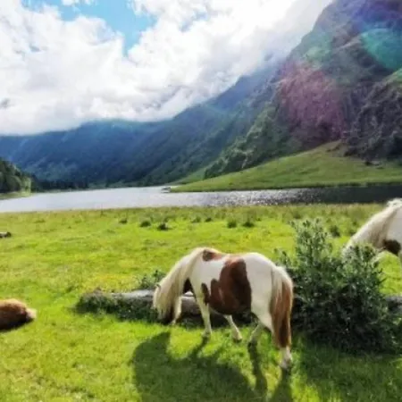 مكان تخييم Mobil-home Avec Animaux Acceptes - 6 Pers. - Api-1-52-2970 *